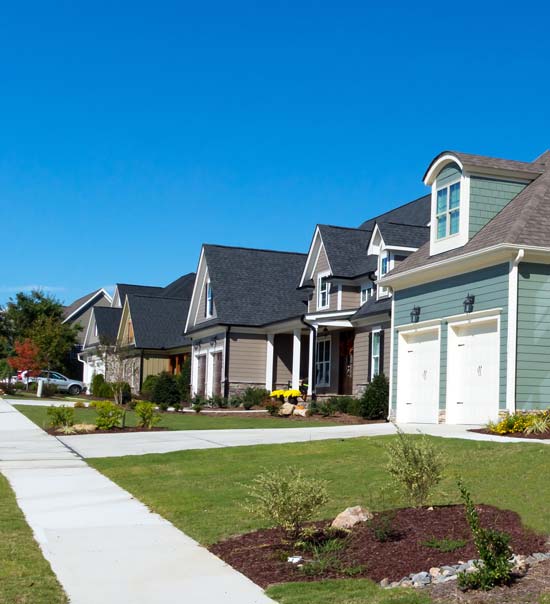 Home Delivery picture